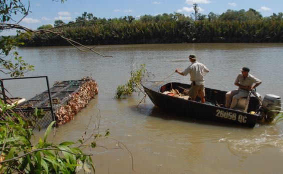 Retrieval on the water.