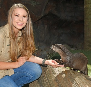 Otter Encounter