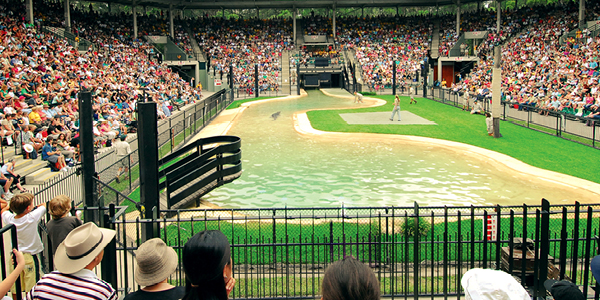 Show area with a crowd.