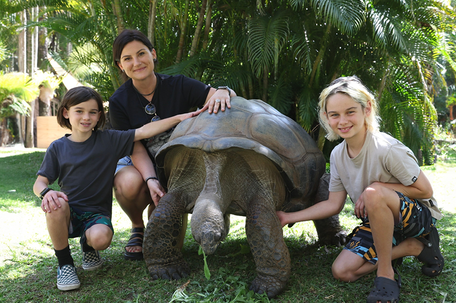 Aldabra Tortoise Snapshot Inline