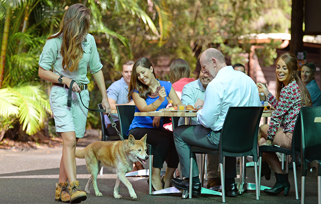 Breakfast Functions at Australia Zoo