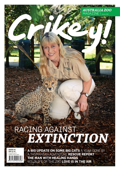 Crikey Magazine Issue 41