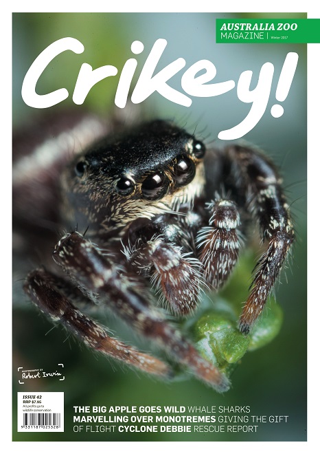 Crikey Magazine Issue 42