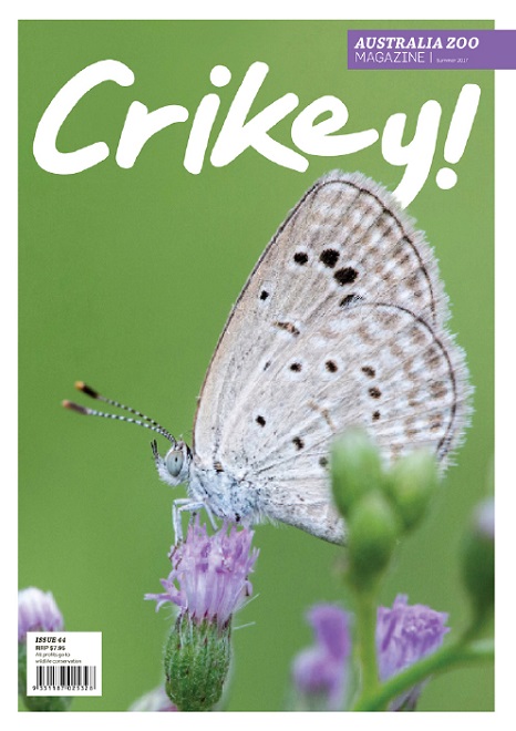 Crikey Magazine Issue 44