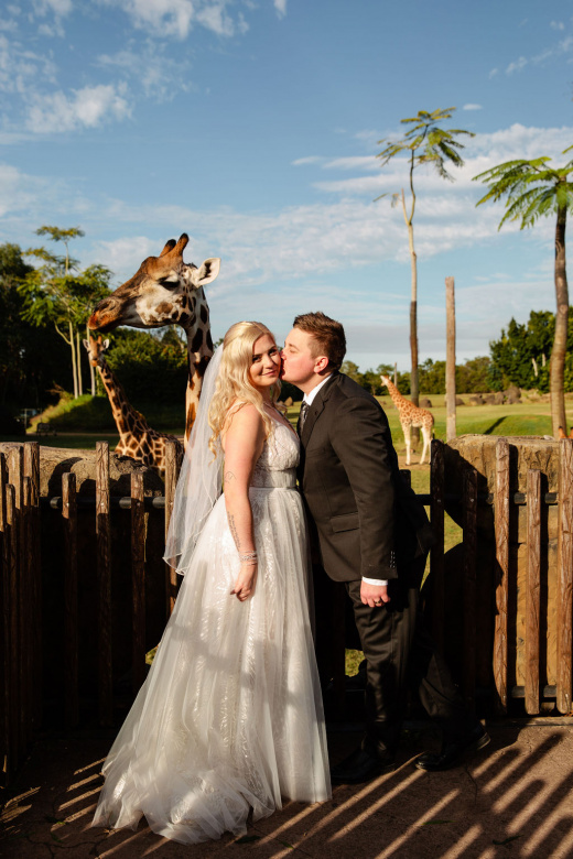 Wedding Giraffe