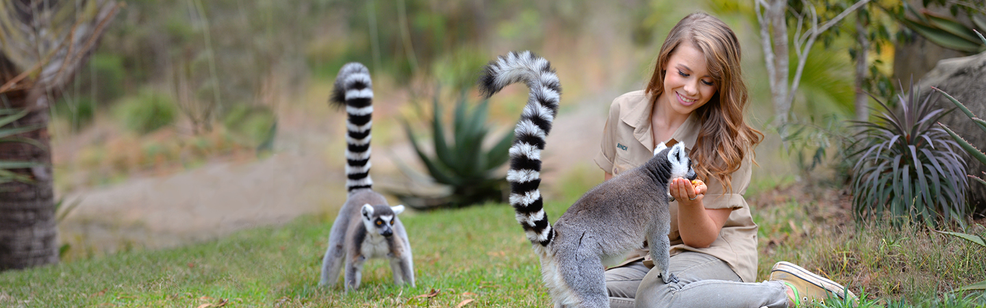 Bindi petting a Lemur.