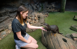 Outrageous Otter Encounter