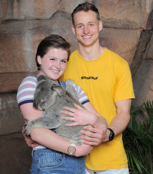 Couple and koala proposal