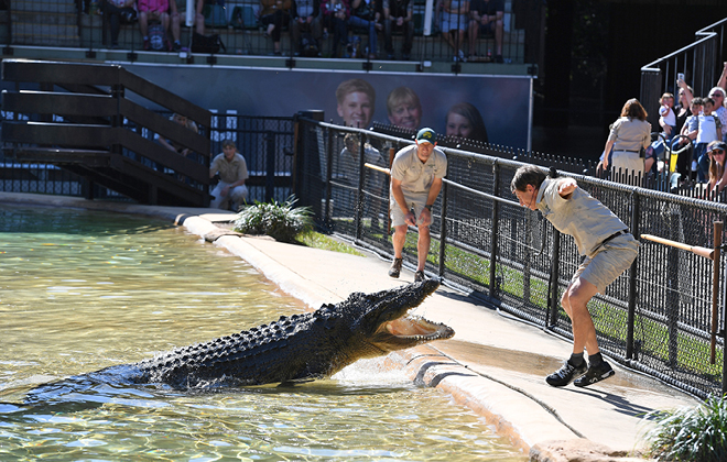 Zookeepers during a crocodile show.