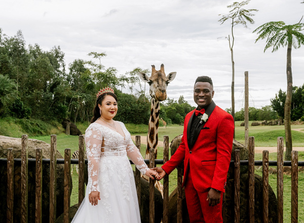 Wedding Giraffe