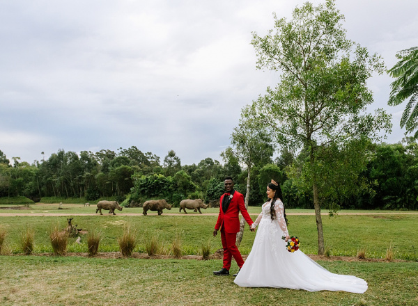 Wedding Rhino