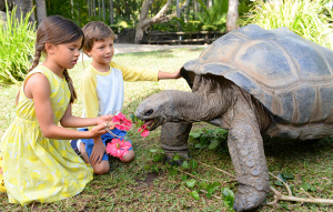 Two kids feeding a tortoise flowers.