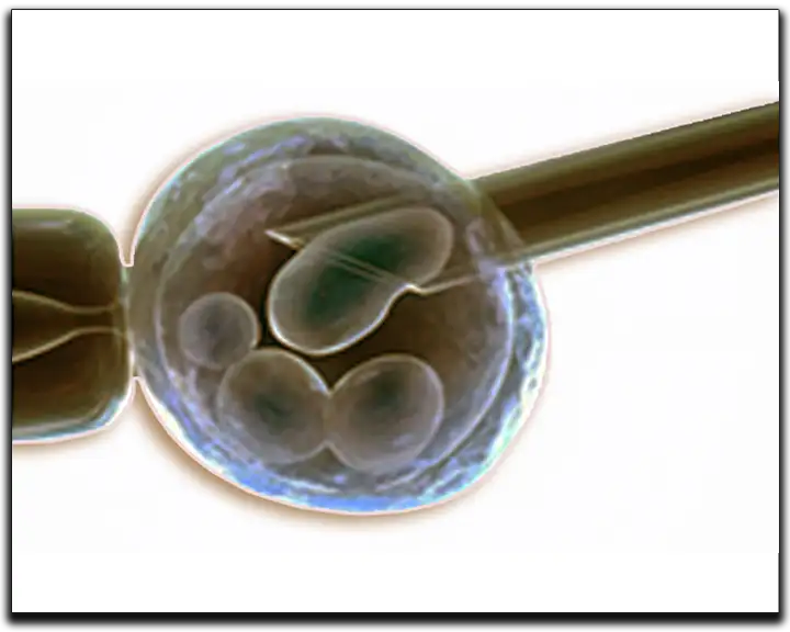 Pre_Implantation_Genetic_Tests_PGD_PGS